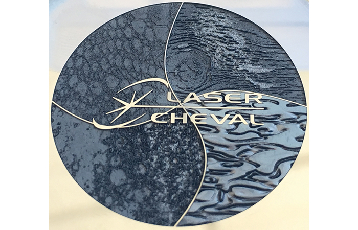 Laser Cheval dans ses propres murs à Marnay