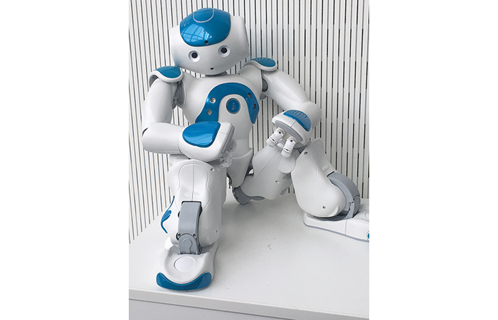 Odense, capitale mondiale de la robotique ?