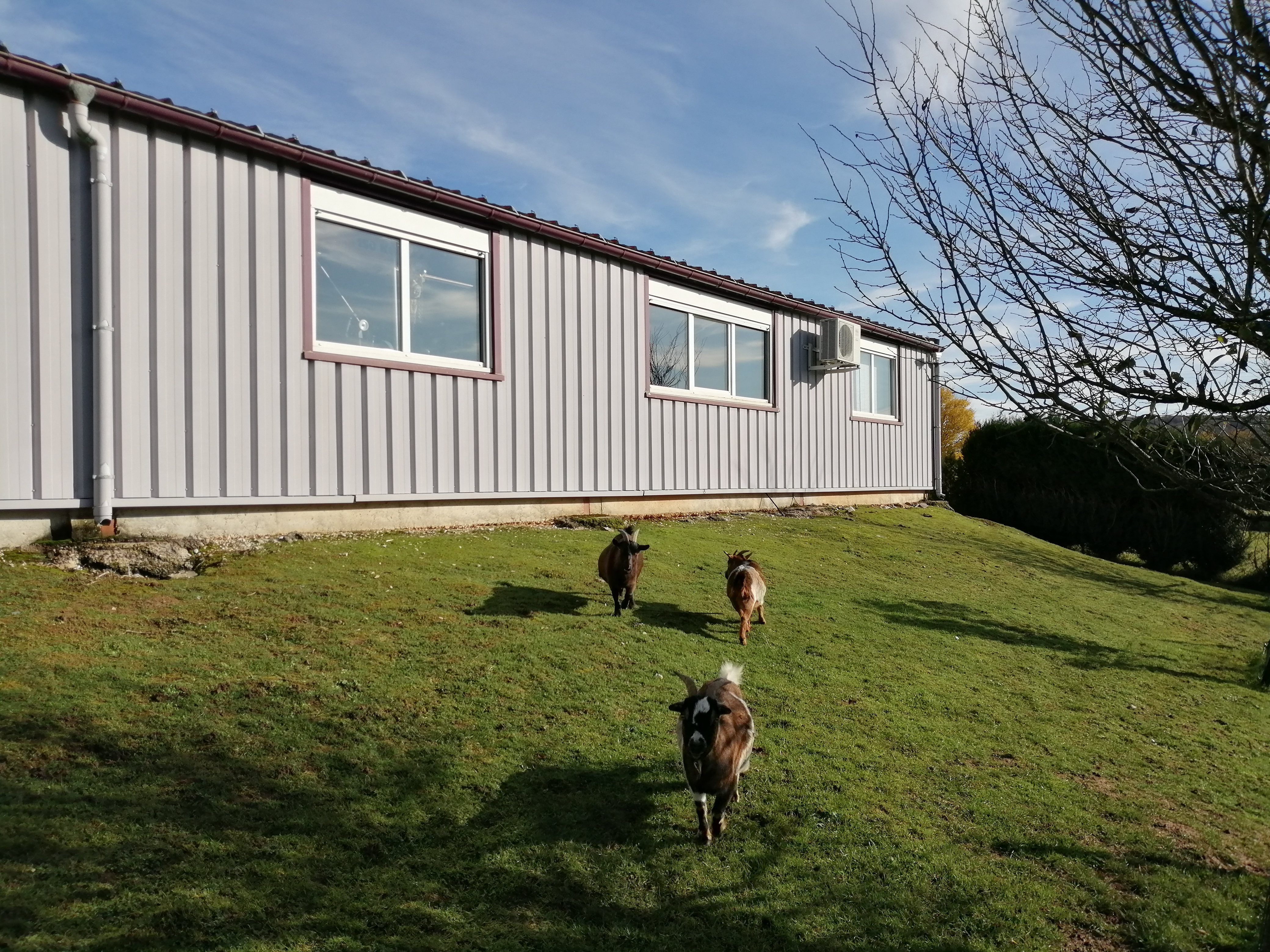 Diamant et environnement