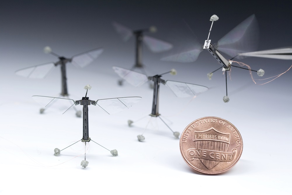 Quand la robotique s’inspire des insectes