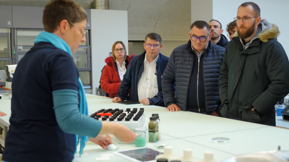 Formation lubrifiants : au cœur de la performance industrielle